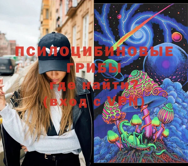 мет Ладушкин
