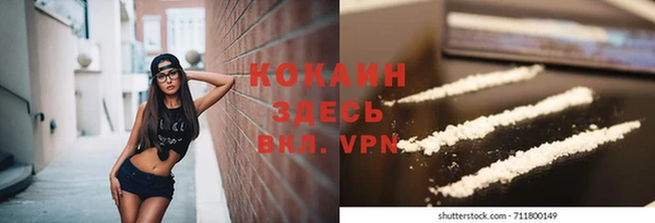 мет Ладушкин