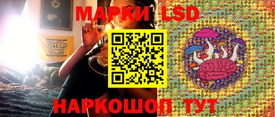 СК Абакан