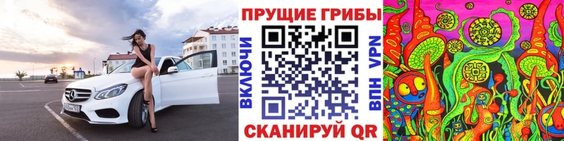 мега рабочий сайт  Ангарск  Псилоцибиновые грибы Cubensis  купить  сайты 